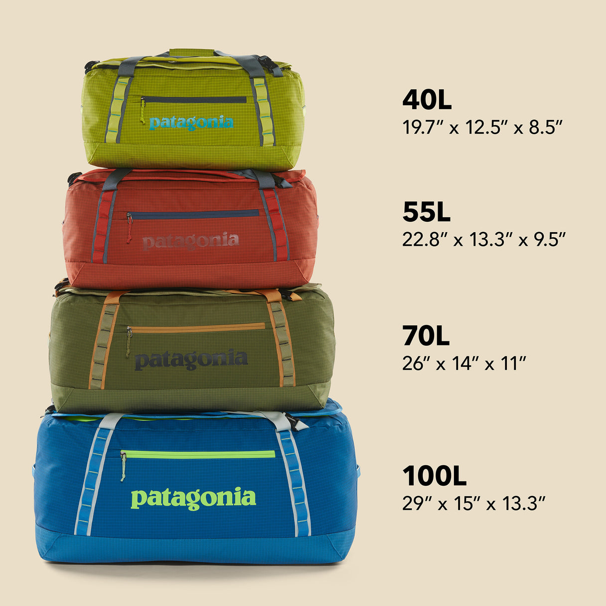 Patagonia Black Hole Duffel 100L Patagonia Black Hole Duffel 100L