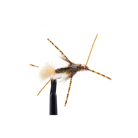 Delektable Mr Rubber Legs - Goldenstone - Size 10