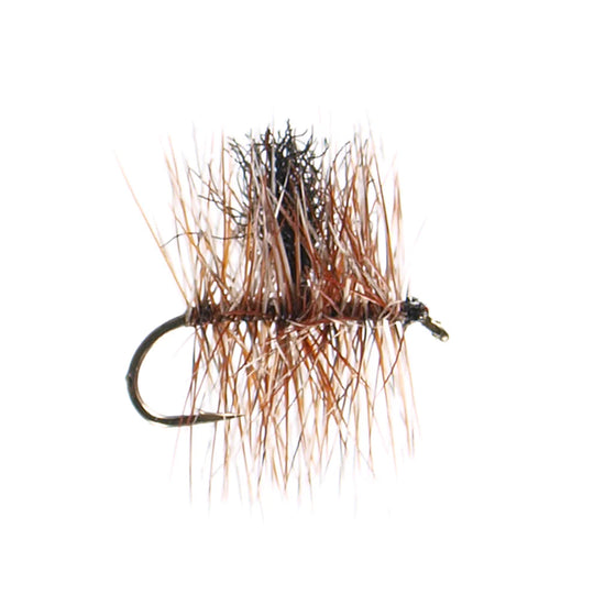 Adam's Midge Cluster - Size 18
