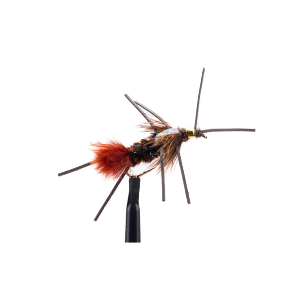 Delektable Bug Flashback Black Legs - Dark Chocolate - Size 8
