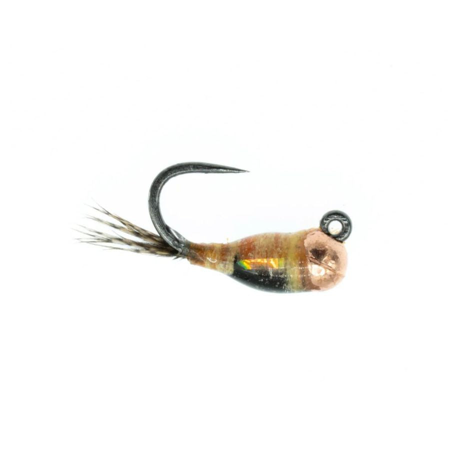 Jig Nation - PMD - Size 16
