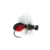Stubby Ant - Red/Black