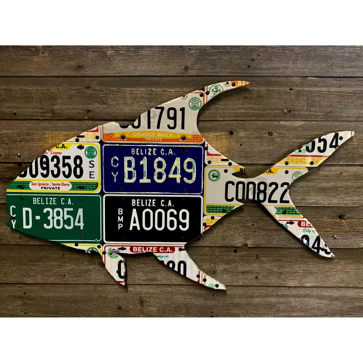 Cody's Fish Belize Permit License Plate Art