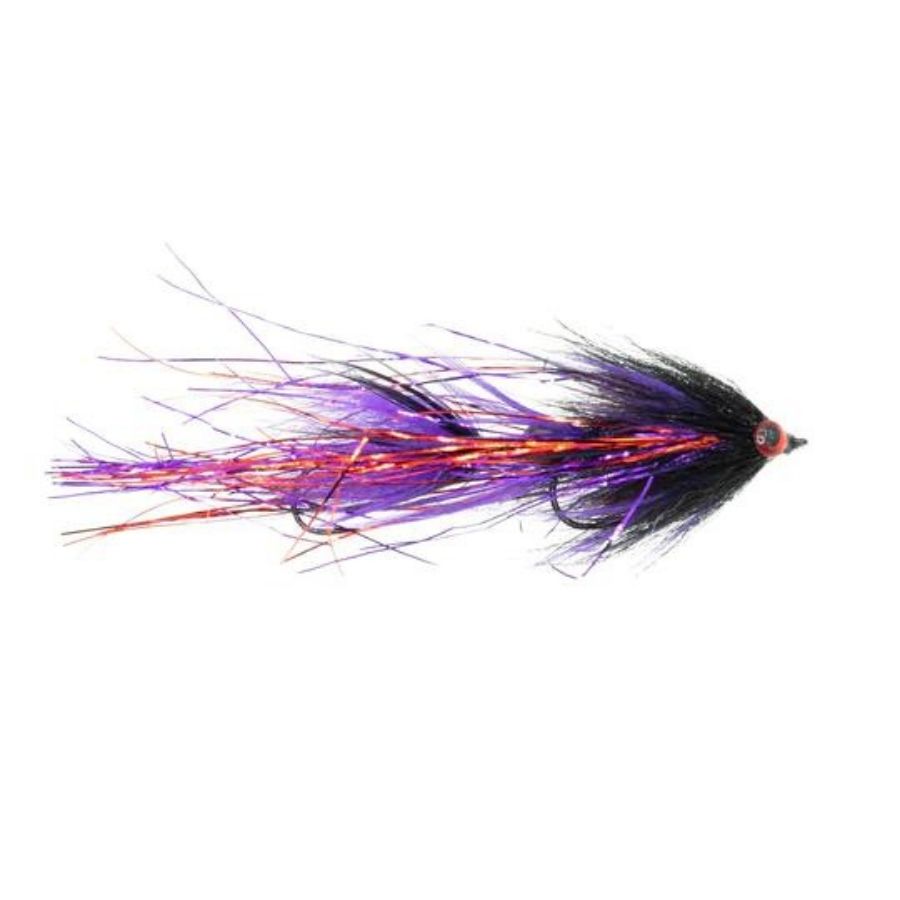 Swim Coach - Black/Purple - Size 2