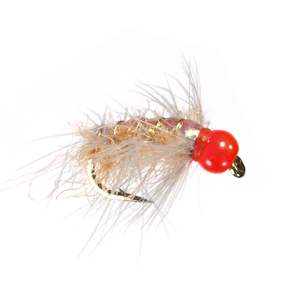 YFG's Caviar Scud