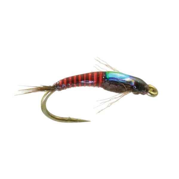 Juju - PMD - Size 16