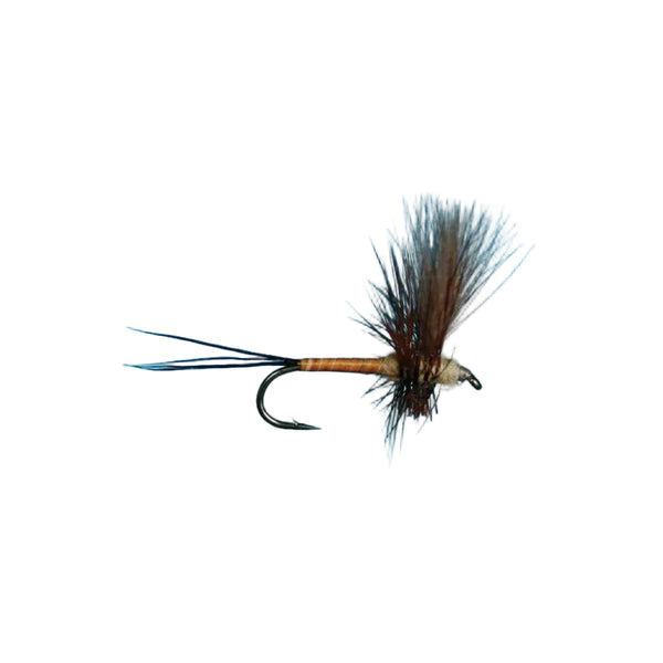 CDC Thorax - Brown Drake