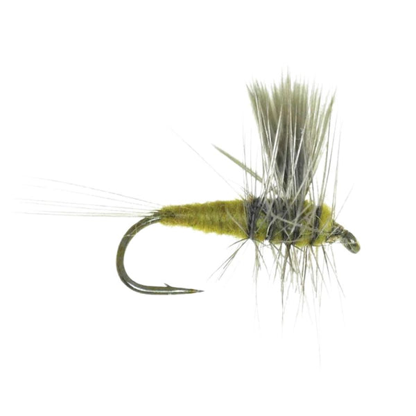 Thorax PMD - Size 16