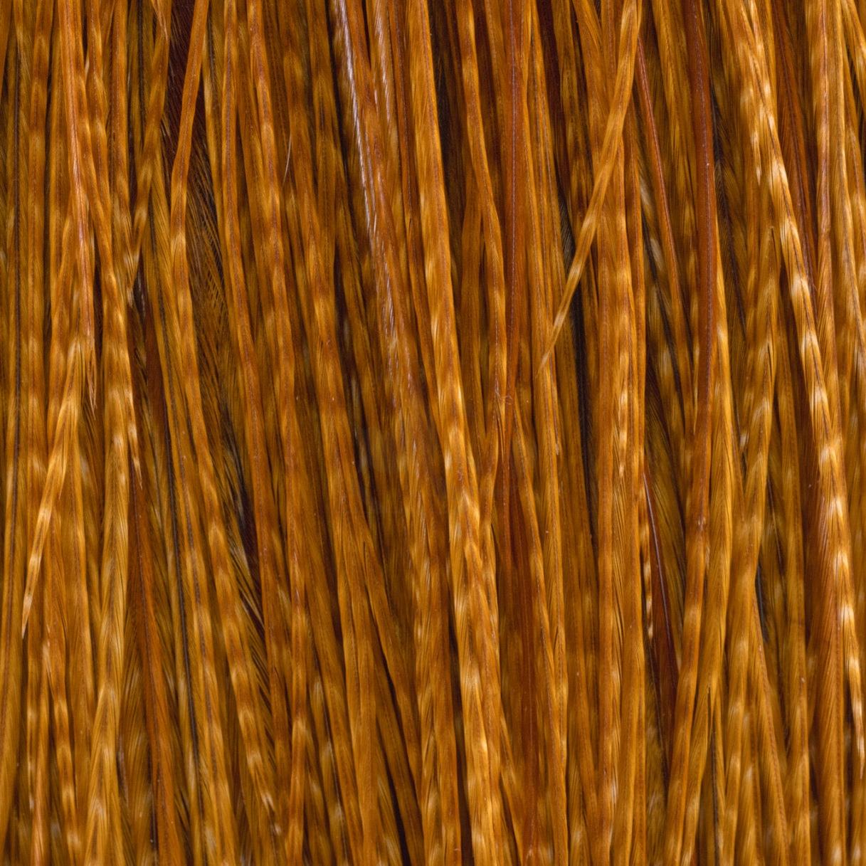 Whiting Farms Rooster Cape - Bronze Grade | Yellow Dog