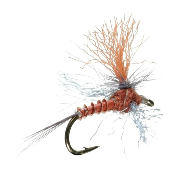 Profile Spinner - Rusty