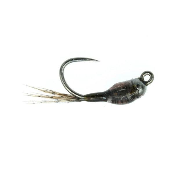 Jig Nation - BWO - Size 18