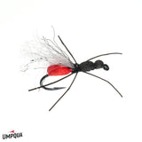 Actual Ant
