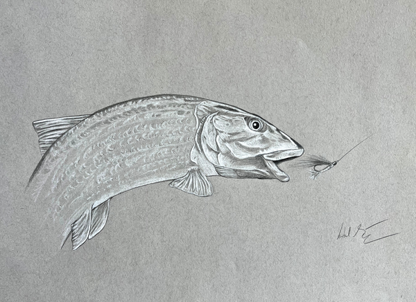 I.MOUGHAMIAN.ART I.Moughamian.Art Gotcha Bonefish .