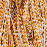 Whiting Farms Rooster Saddle - Pro Grade