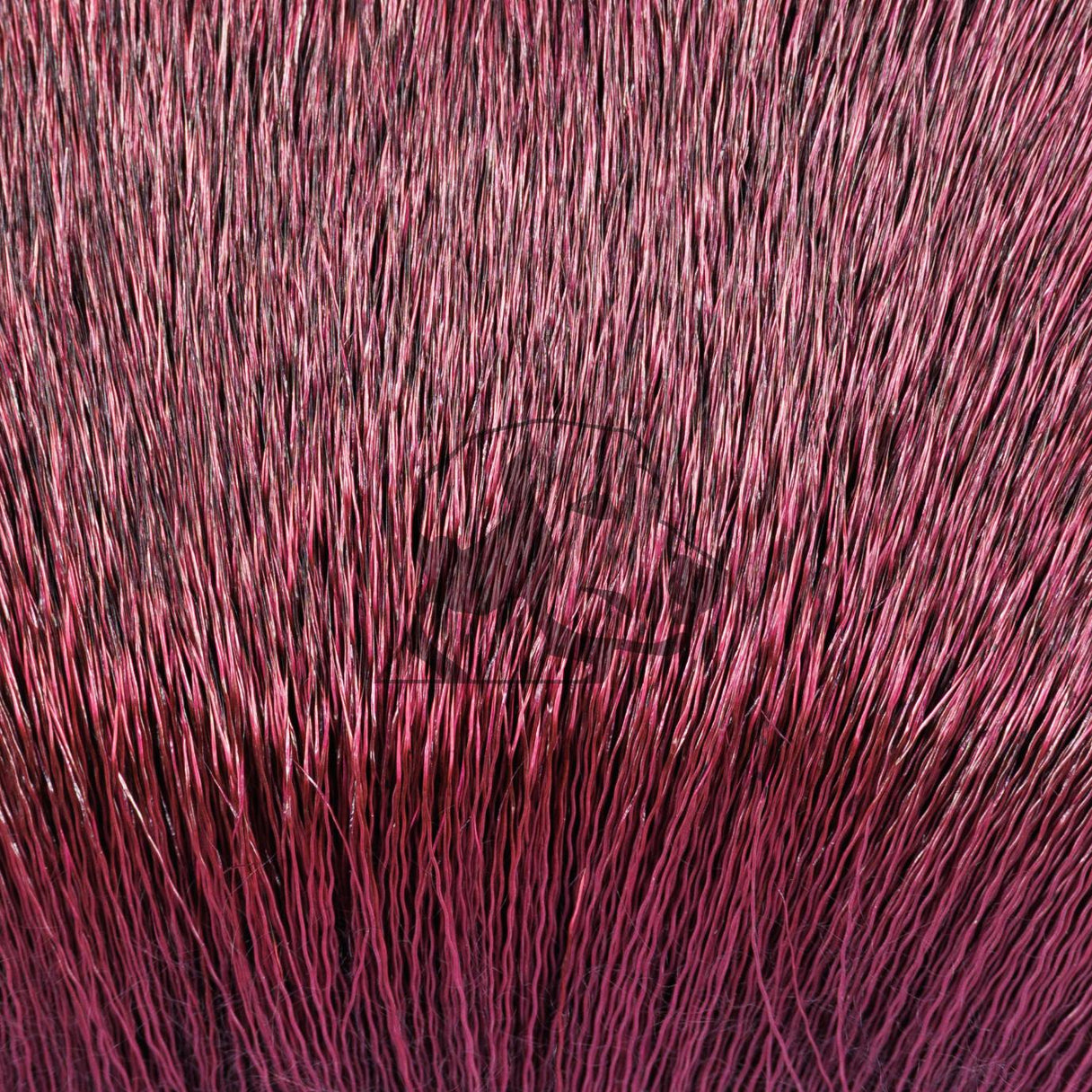 Deer Body Hair