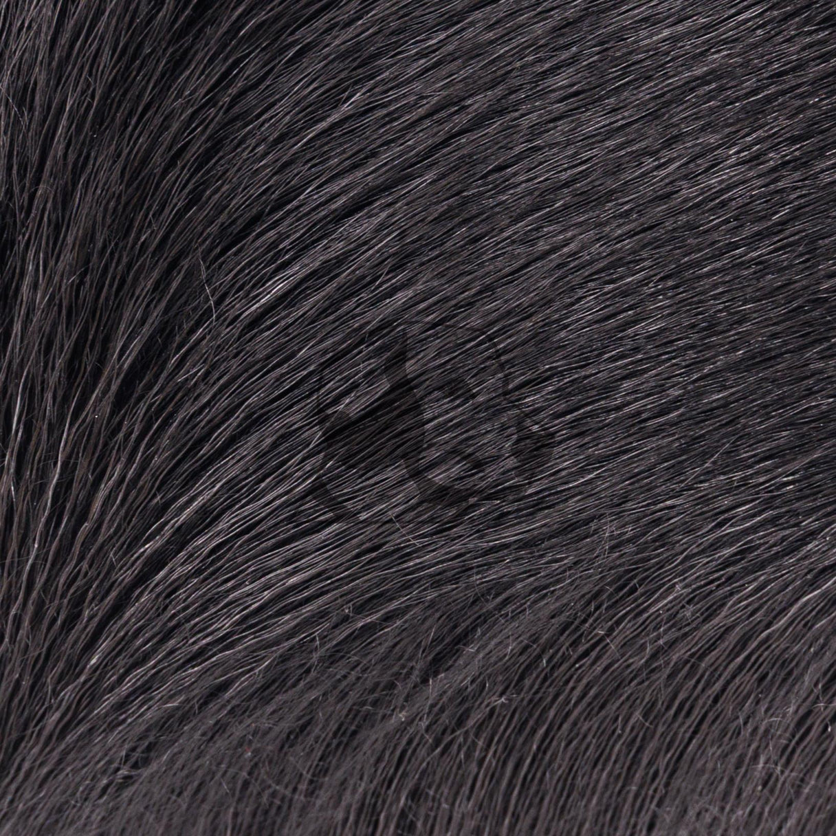 Deer Body Hair