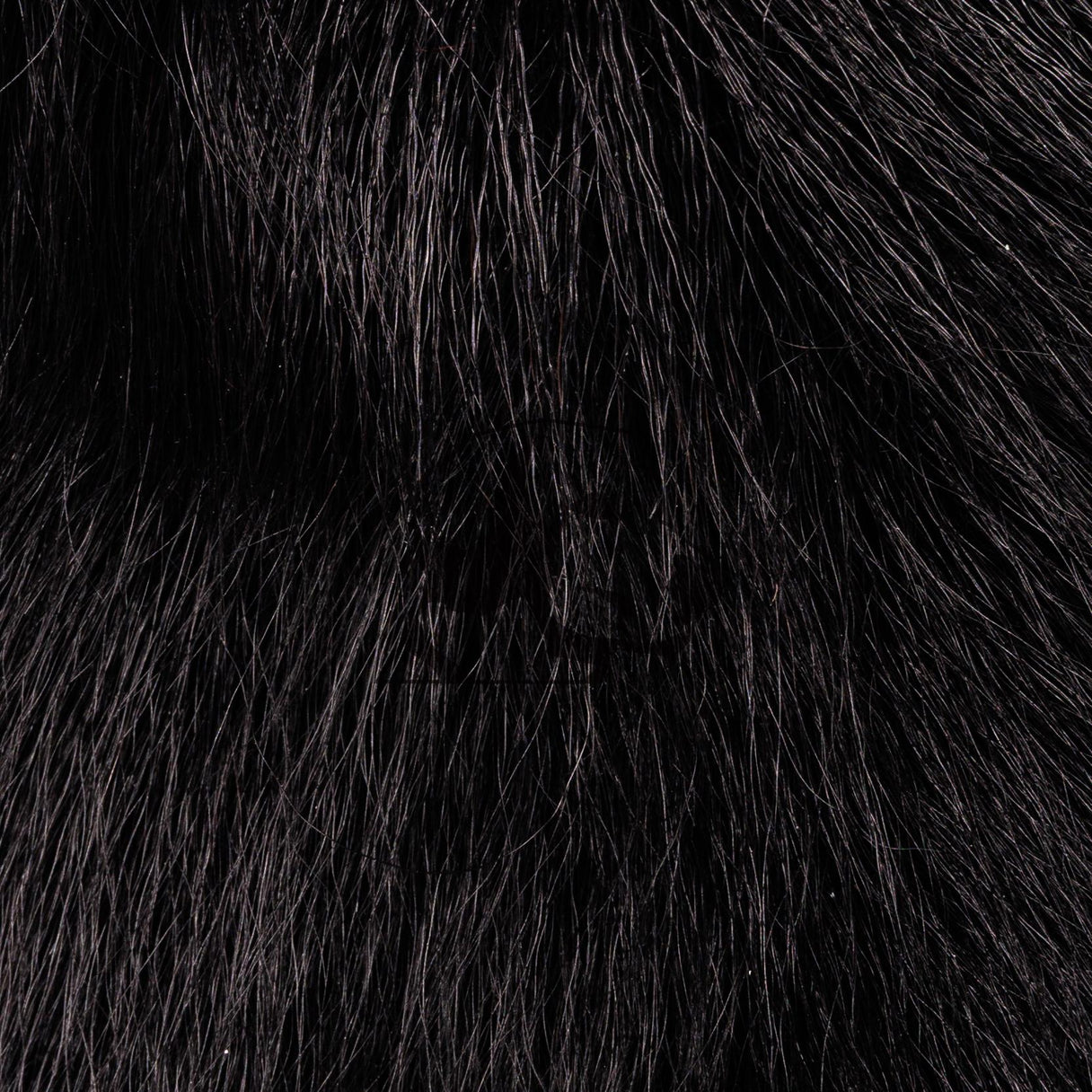 Bucktail