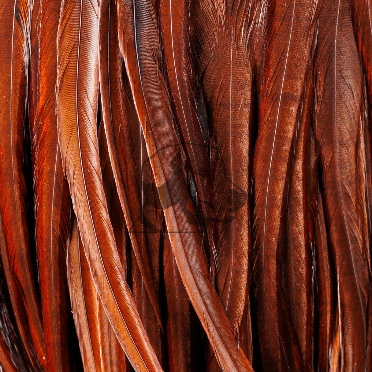 Natural Strung Saddle