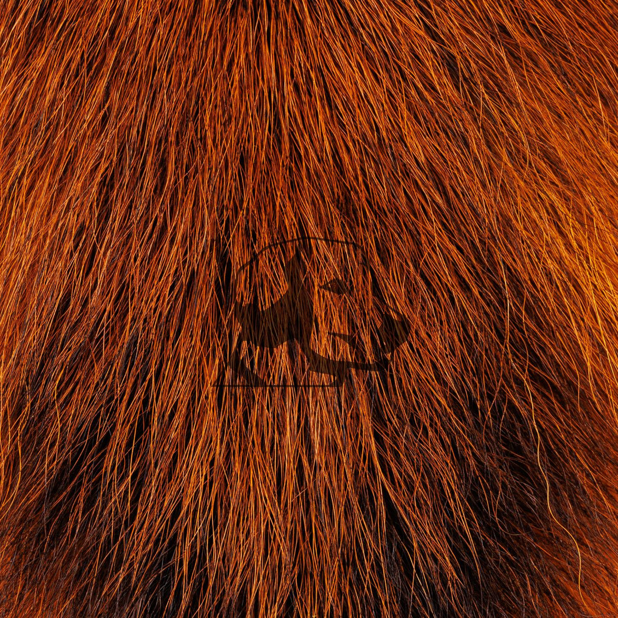 Bucktail