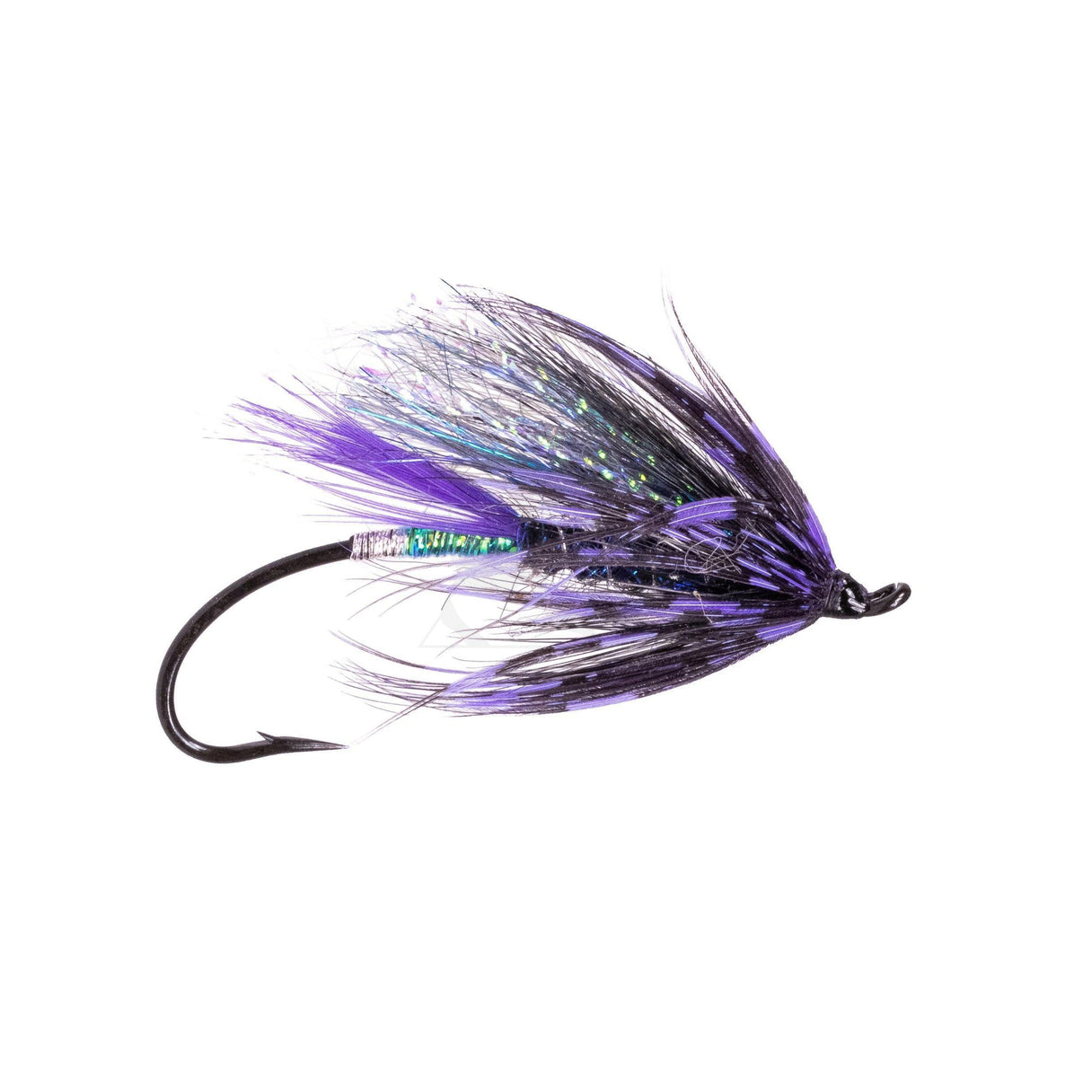 Bennet's Last Light - Size 3