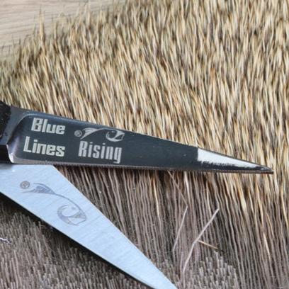 Rising Stellar Scissors 2.0