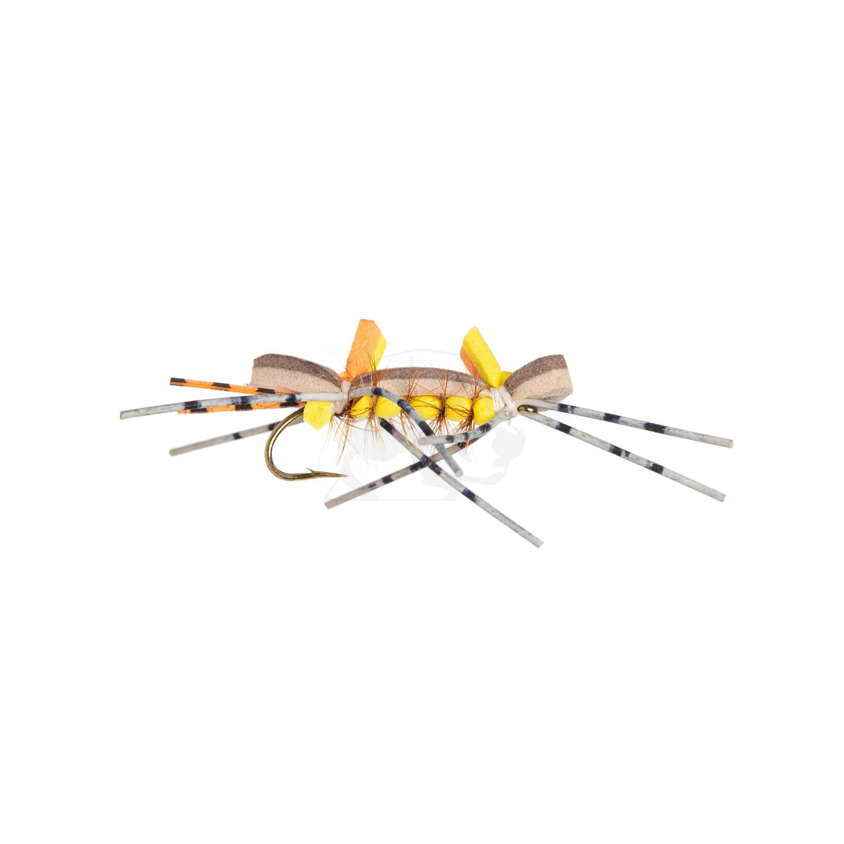 Chernobyl CFO Ant