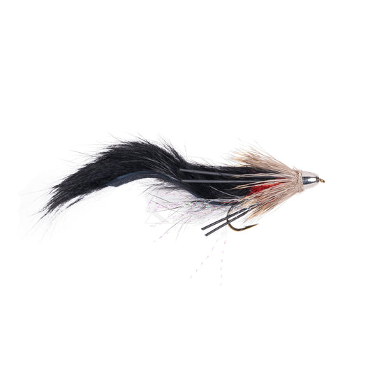 Conehead Ziwi - Size 6