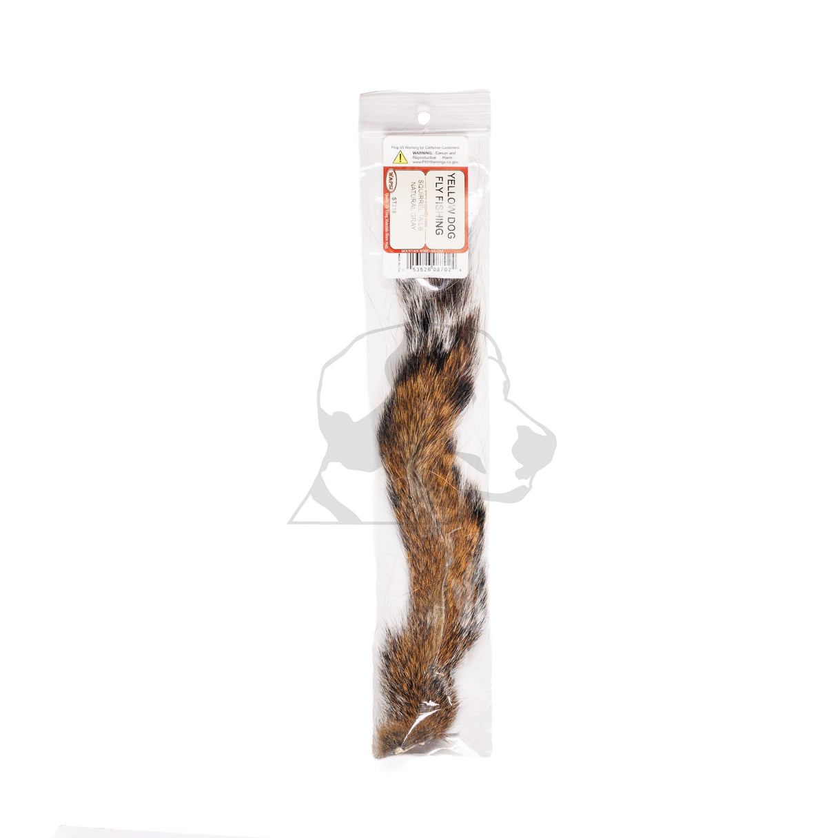 Squirrel Tail