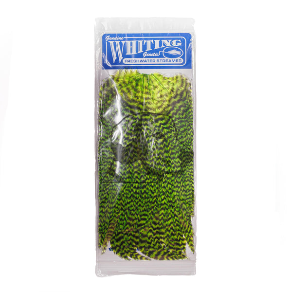Front view of Whiting Farms Freshwater Streamer Saddle showing long green and black barred feathers in clear packaging