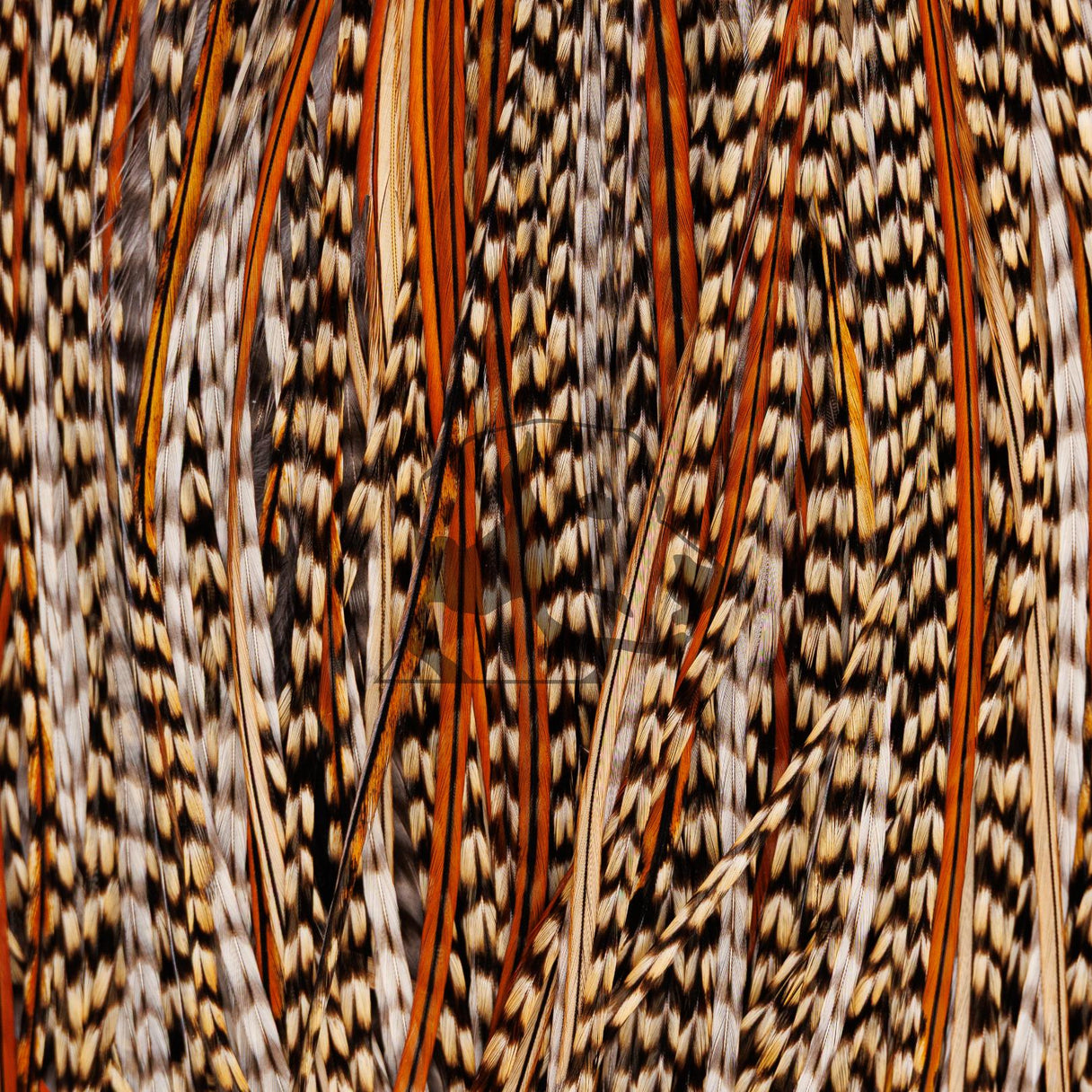 Whiting Farms Rooster Saddle - Bronze Grade