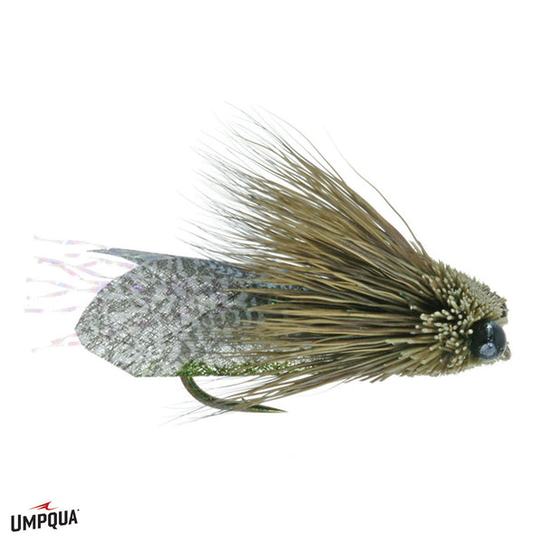 Umpqua Clark's Cicada - Olive - Size 10.