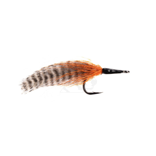 Cockroach