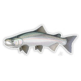 Casey Underwood Underwood Coho Salmon Sticker.