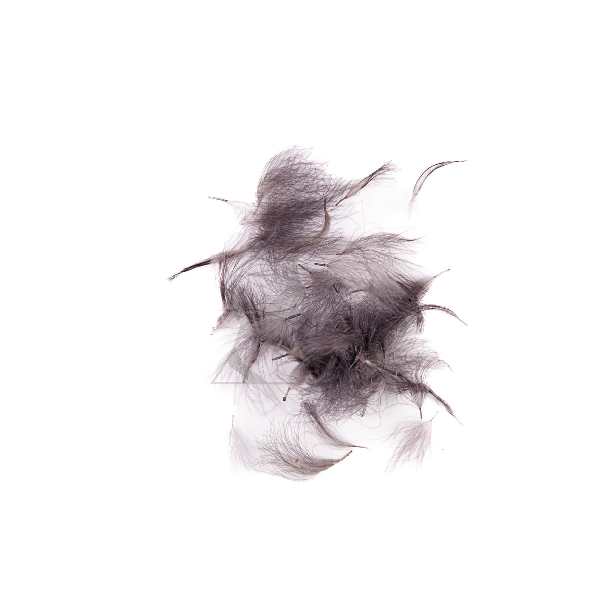 Nature's Spirit CDC Tufts
