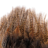 Whiting Farms Coq De Leon Tailing Pack