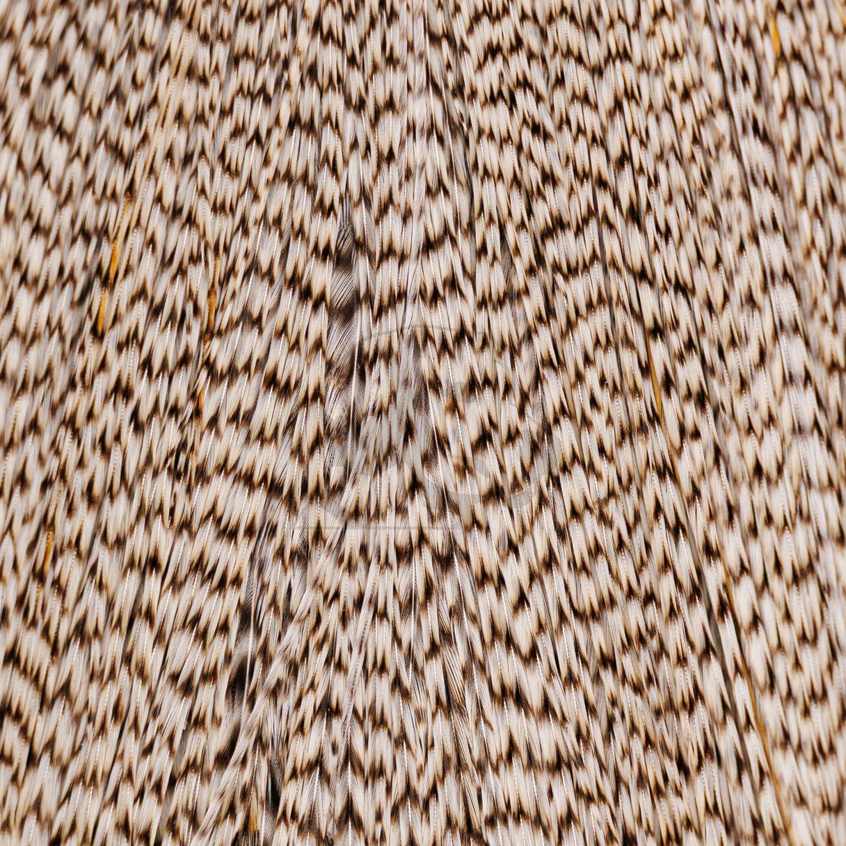 Whiting Farms Rooster Cape - Bronze Grade