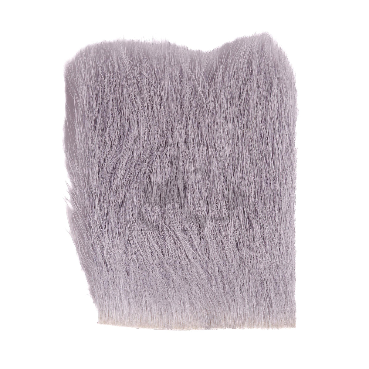 Calf Body Hair