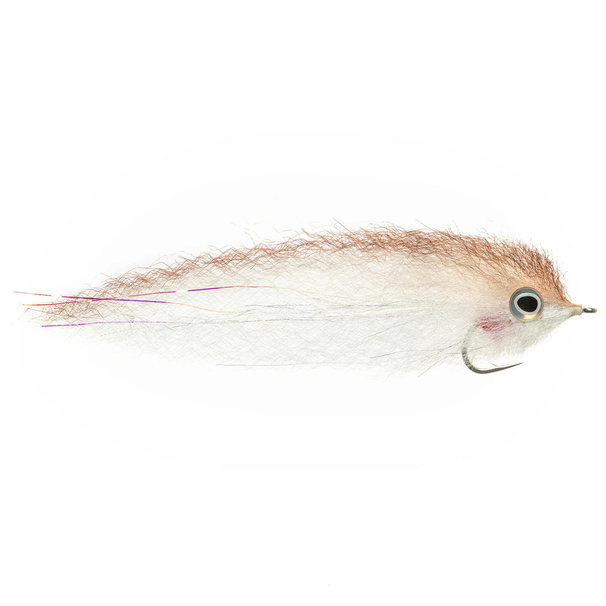 EP Roosterfish