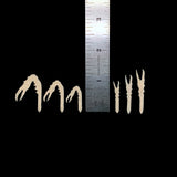 Sight Cast Easy Crab Claws