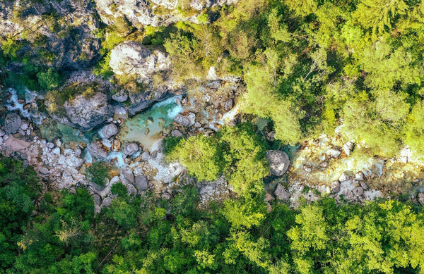 lodge Italy on the Fly.