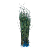 Peacock Herl - Various Colors