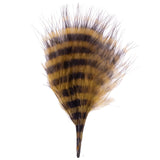 Barred Marabou