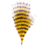 Barred Marabou