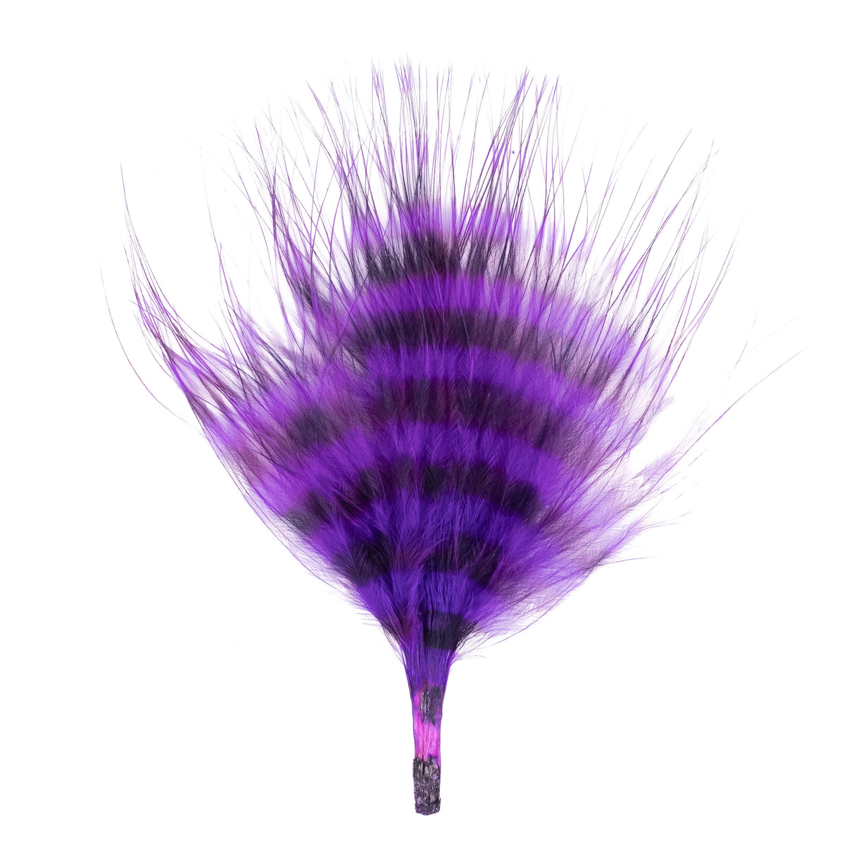 Barred Marabou