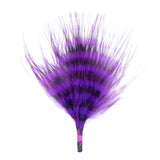 Barred Marabou