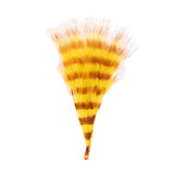 Barred Marabou
