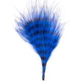 Barred Marabou