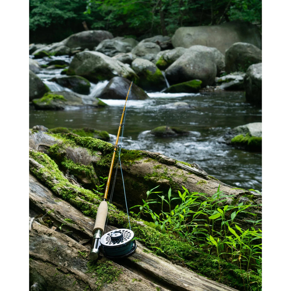 Cortland Trout Series Finesse Trout II