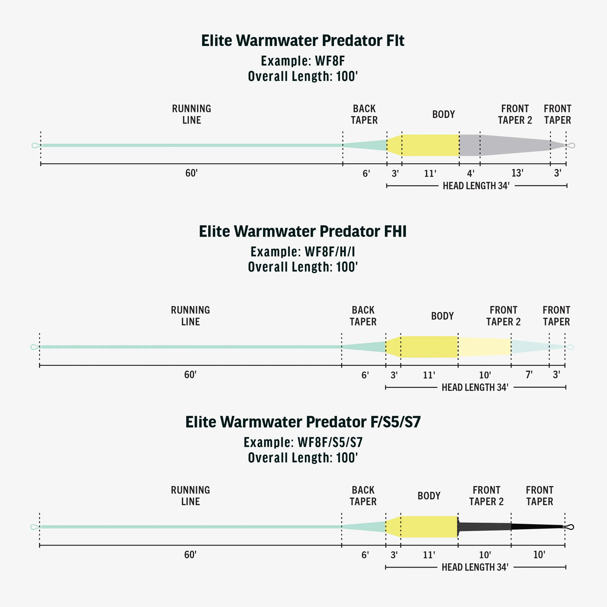 Rio Elite Predator Warmwater WF8F