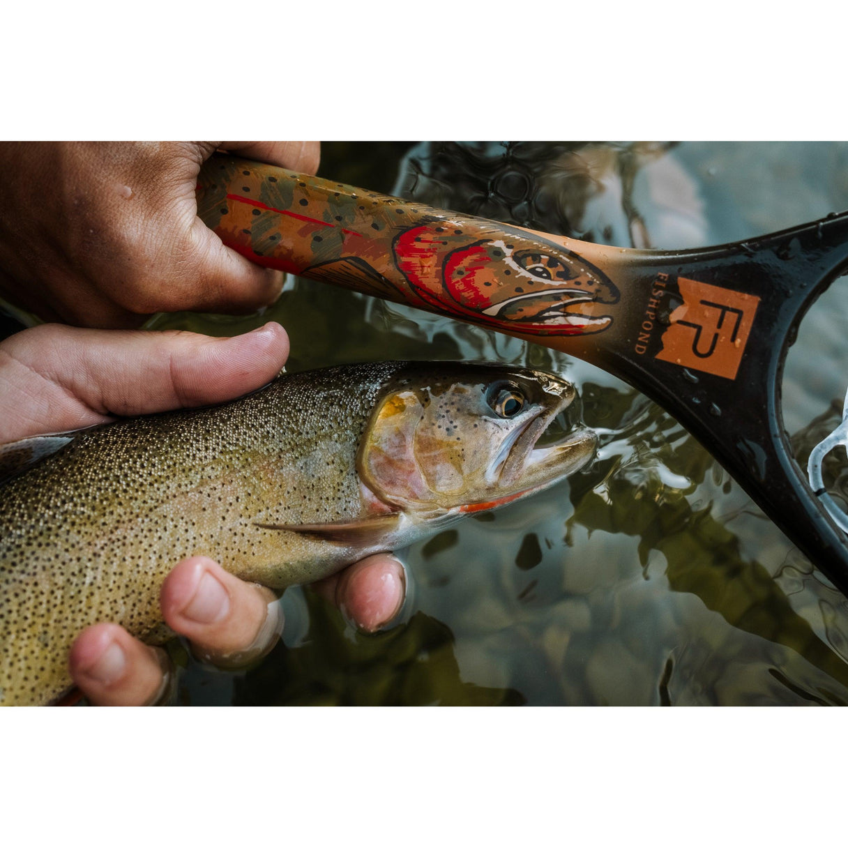 custom fishing nets colorado Fishpond Limited Edition Nomad Canyon Net - Colorado Cutty